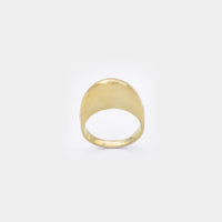 Kerbe Ring