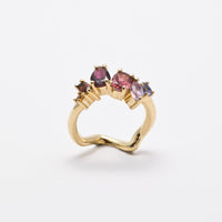 Shri ring